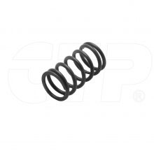 SPRING-VALVE (OUTER)