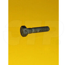 HEX CAP SCREW