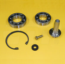 REBUILD KIT-CTP ASSY