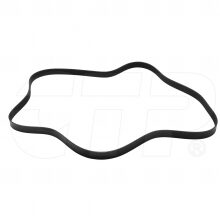 BELT (8PK)