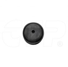 DIAPHRAGM