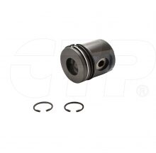 PISTON AS-STD W/RING GR