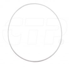 RING SEAL