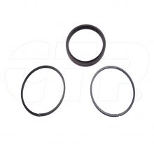 SEAL-AS-PISTON