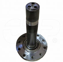 SPINDLE