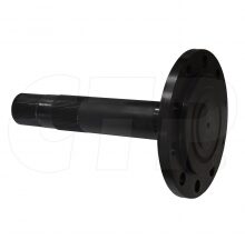 SPINDLE