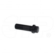 BOLT-12 POINT HEAD