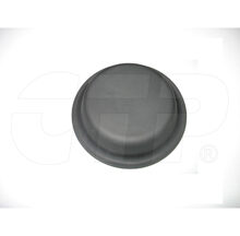 DIAPHRAGM