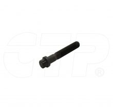 BOLT-12 POINT HEAD