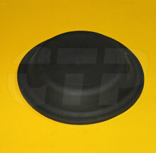 DIAPHRAGM