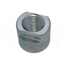 NUT-SPECIAL