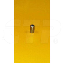 DOWEL