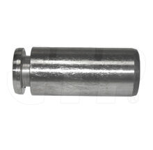 PIN