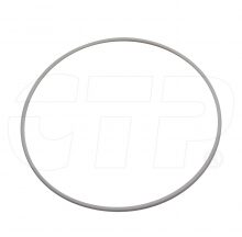 RING  SEAL
