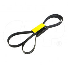 BELT 8PK