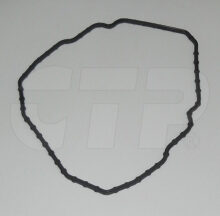 SEAL-PIP(FKM)