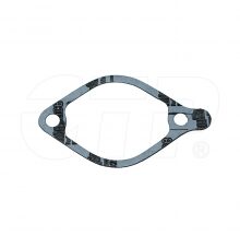 GASKET-CTP (P)