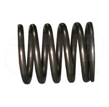 VALVE SPRING