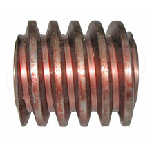 WORM RH