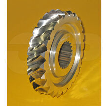 GEAR-WORM