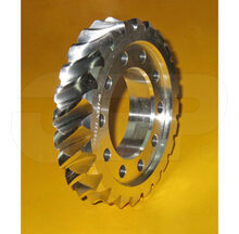 GEAR WORM
